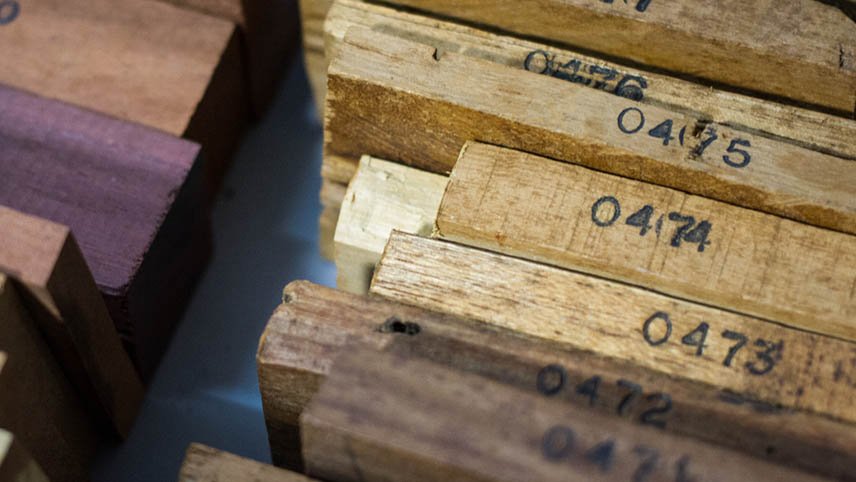 5 Curiosidades Sobre Xilotecas: Bibliotecas de Madeira e Seus Benefícios Científicos