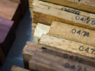 5 Curiosidades Sobre Xilotecas: Bibliotecas de Madeira e Seus Benefícios Científicos