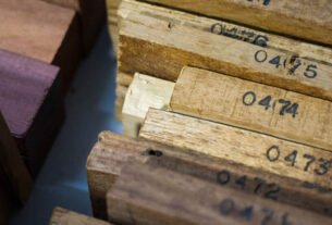 5 Curiosidades Sobre Xilotecas: Bibliotecas de Madeira e Seus Benefícios Científicos